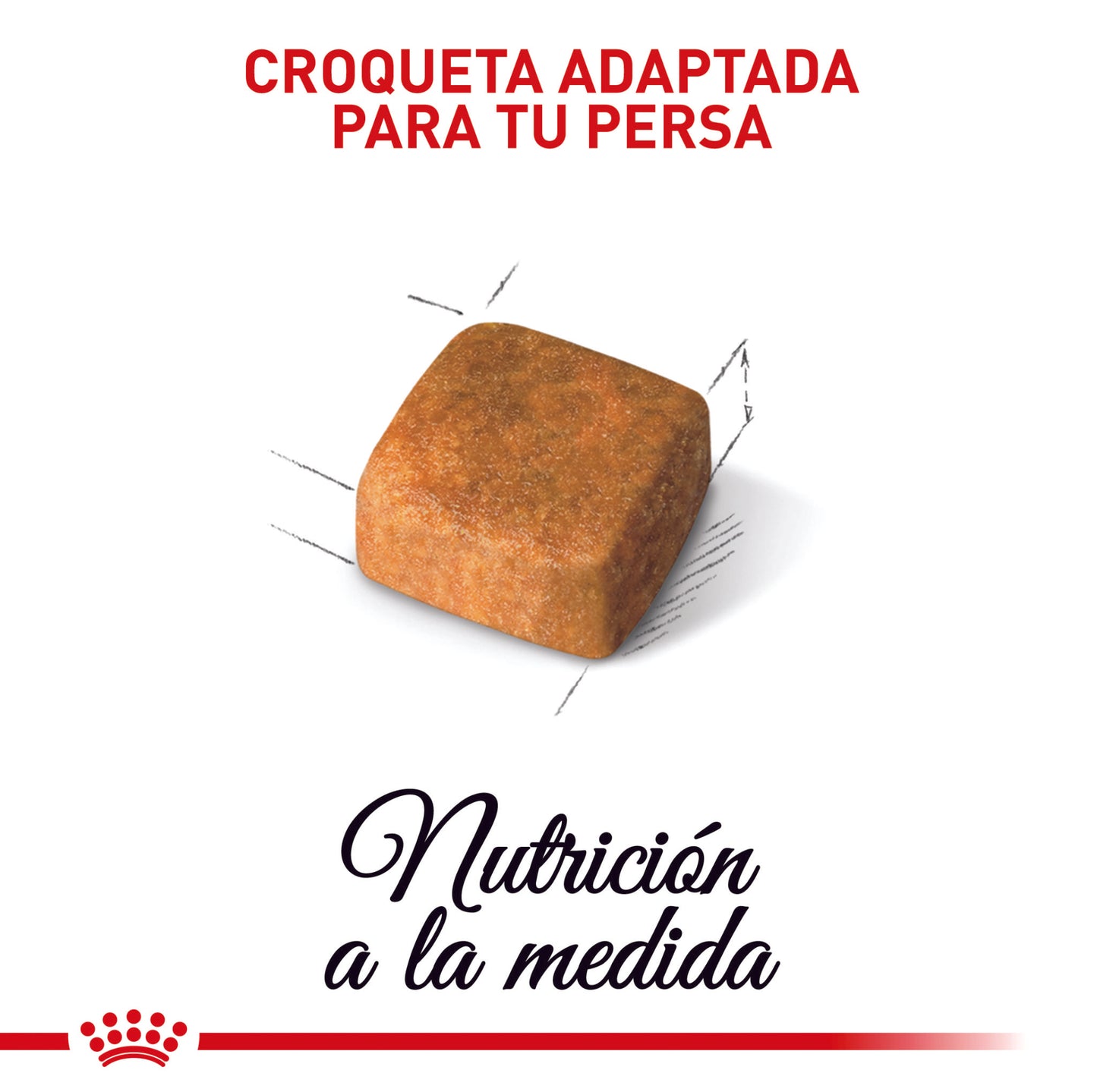 Royal Canin Persa Kitten x 2 kg
