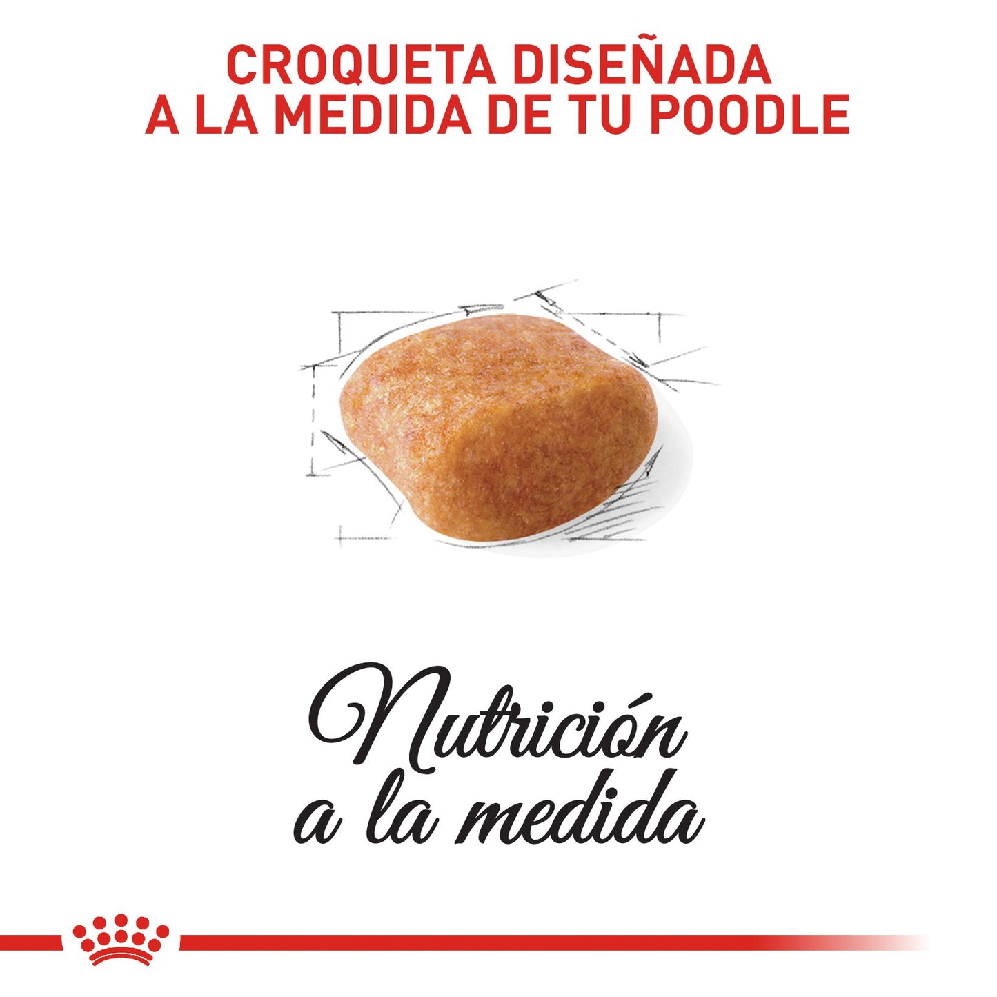 Royal Canin Poodle Adulto x 1.5 kg
