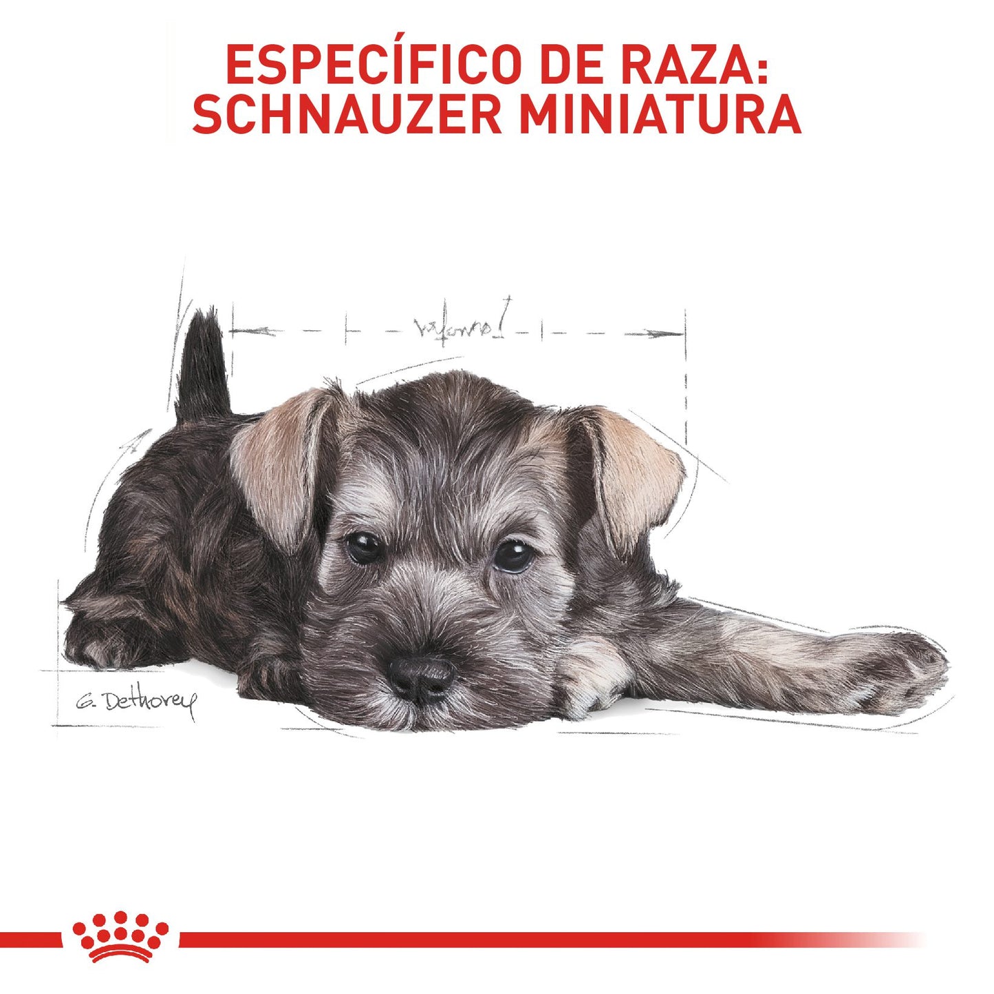 Royal Canin Mini Schnauzer Cachorro x 1.13 kg