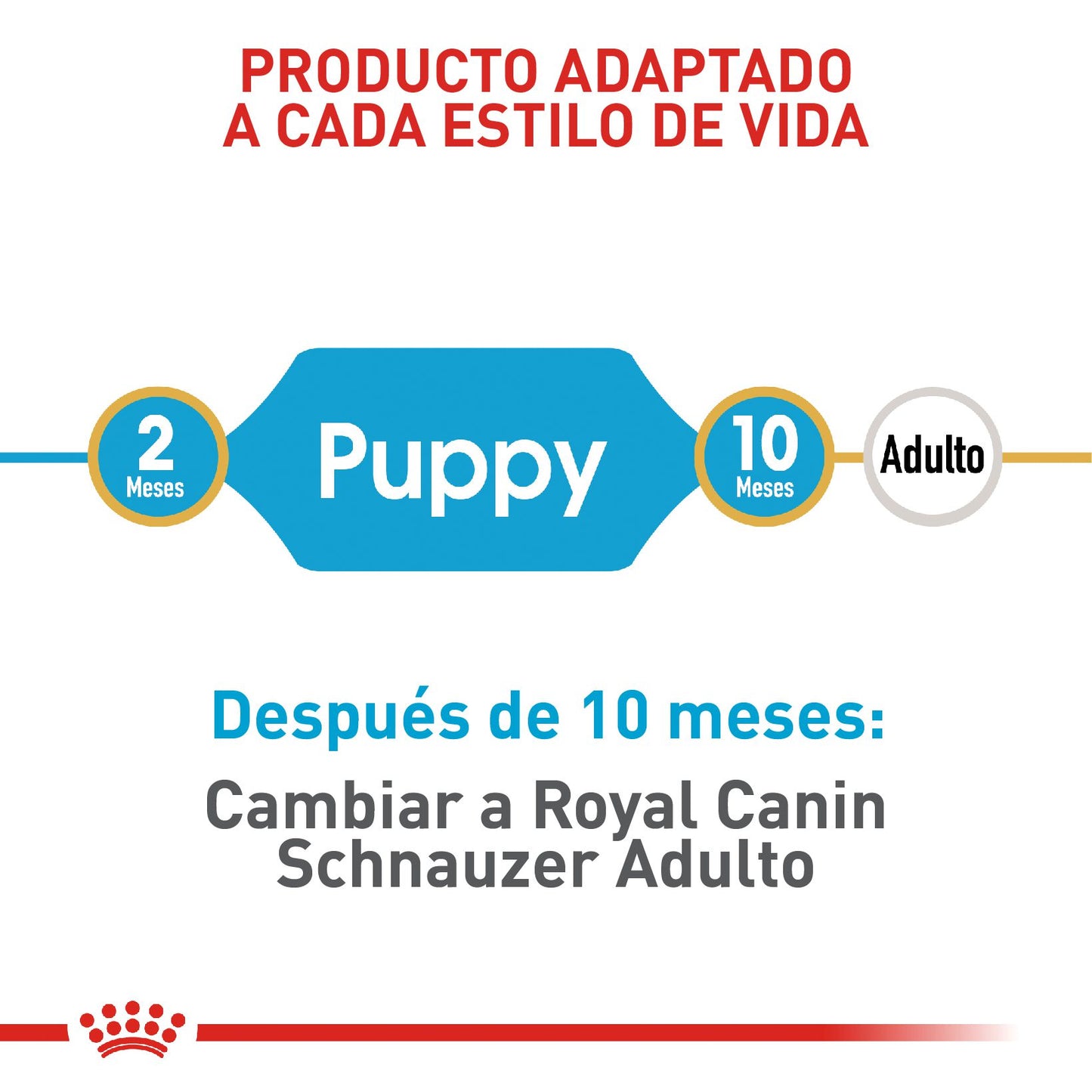 Royal Canin Mini Schnauzer Cachorro x 1.13 kg