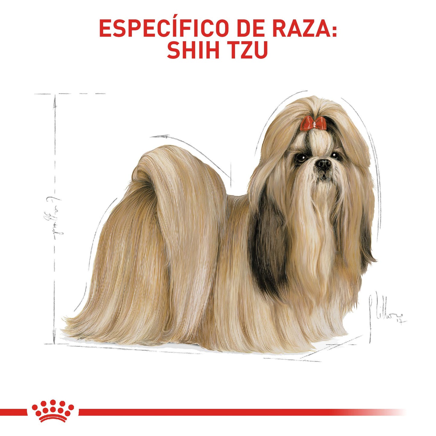 Royal Canin Shih Tzu Adulto
