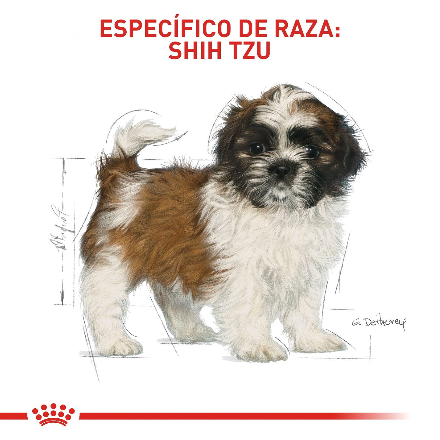 Royal Canin Shih Tzu Cachorro x 1.15 kg