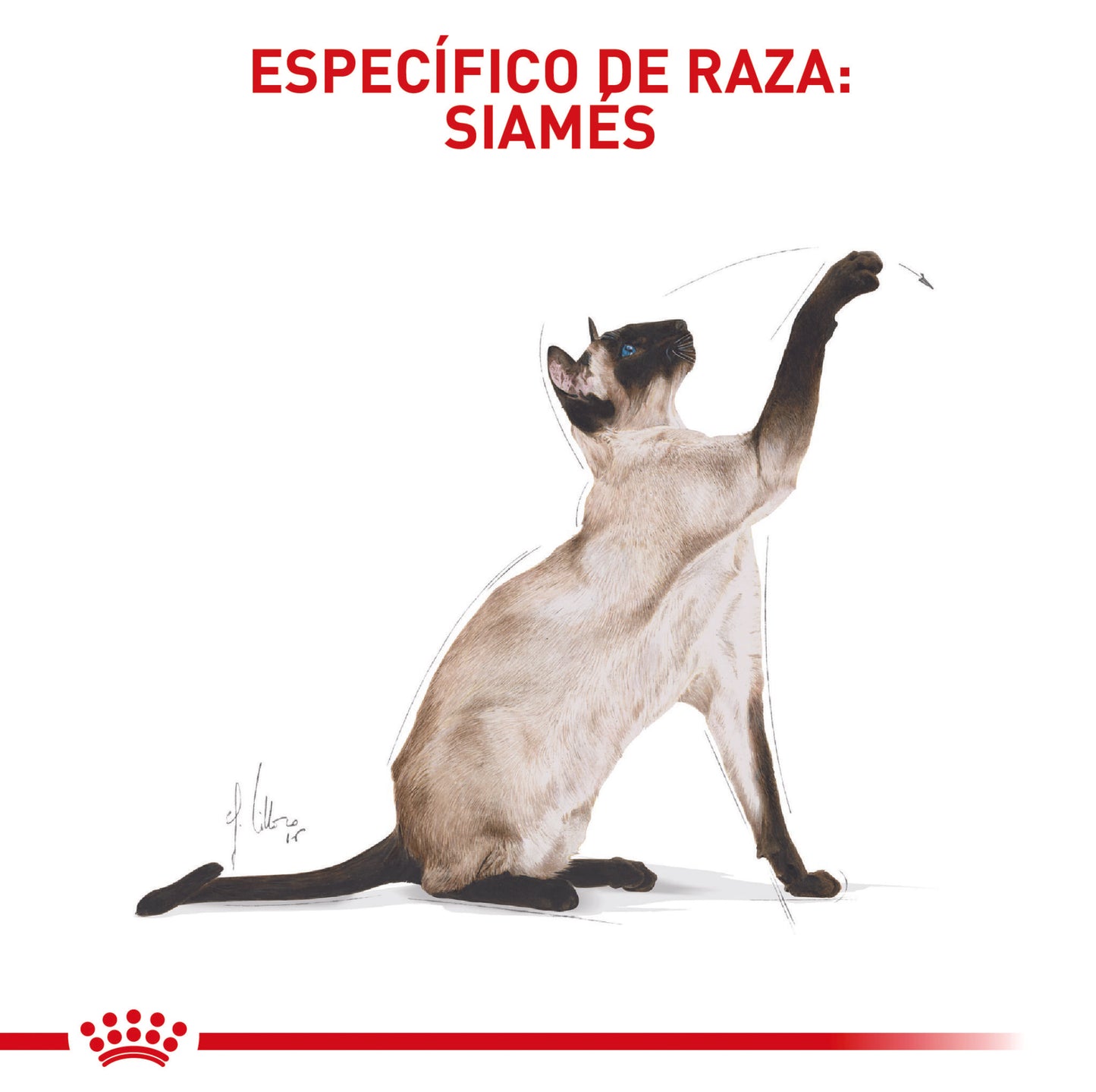 Royal Canin Siamés x 2 kg