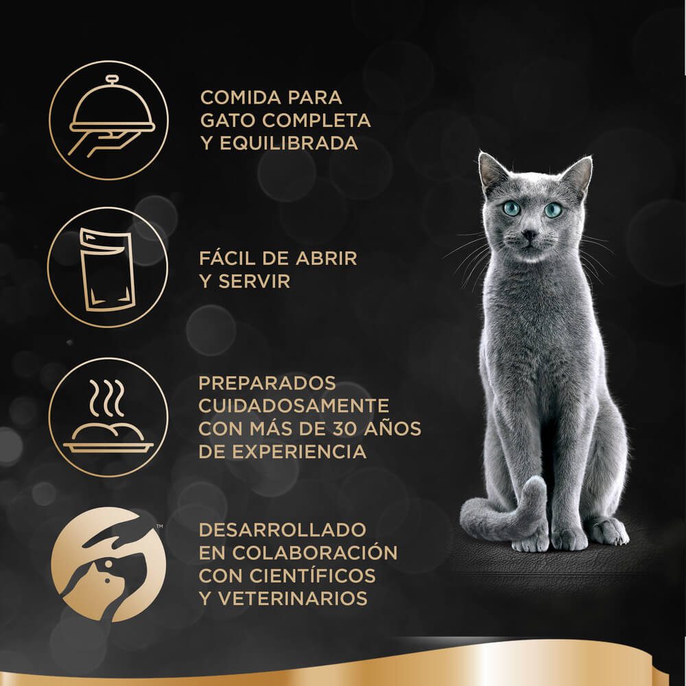 Sheba Comida Húmeda para Gato Sabor a Salmón x 85 gr