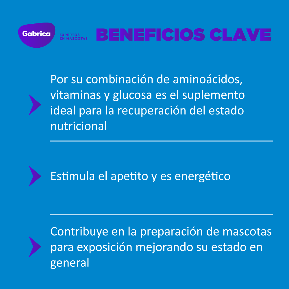 Suplemento Hemolitan Para Perro Y Gato