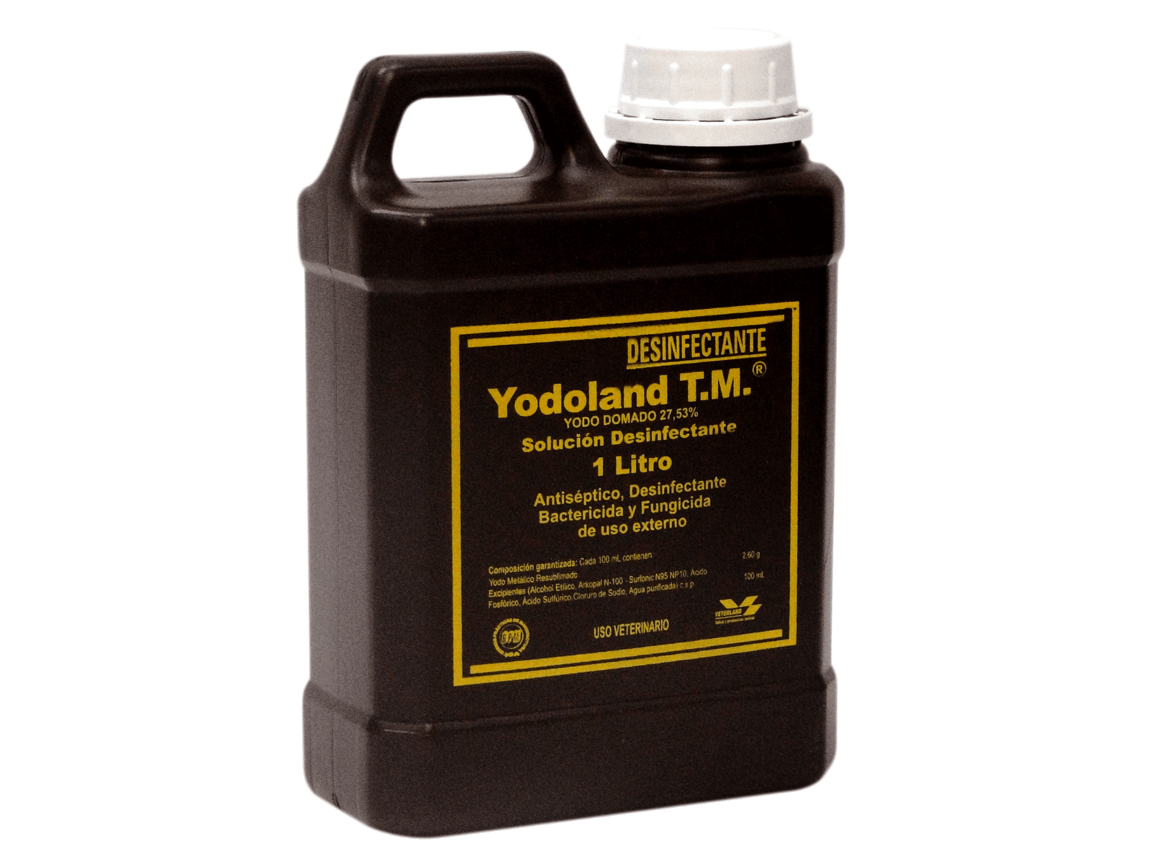 Yodoland