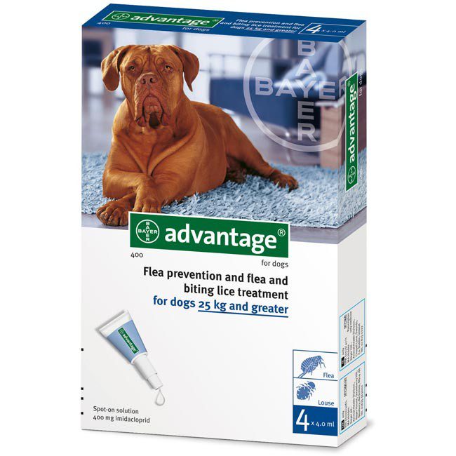 Advantage Perros