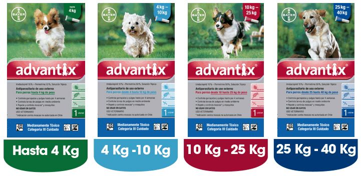 Advantix Perros