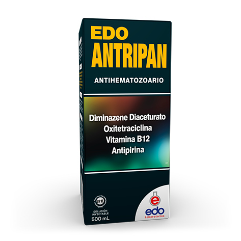 Edo Antripan