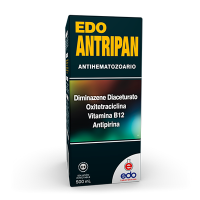 Edo Antripan