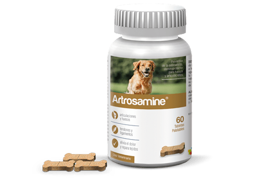 Artrosamine X 60 Tab