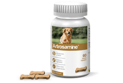 Artrosamine X 60 Tab