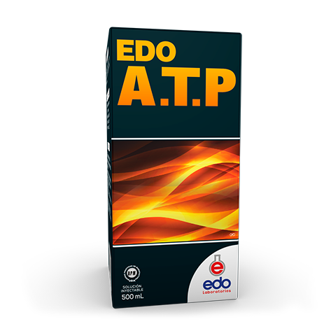 Edo ATP