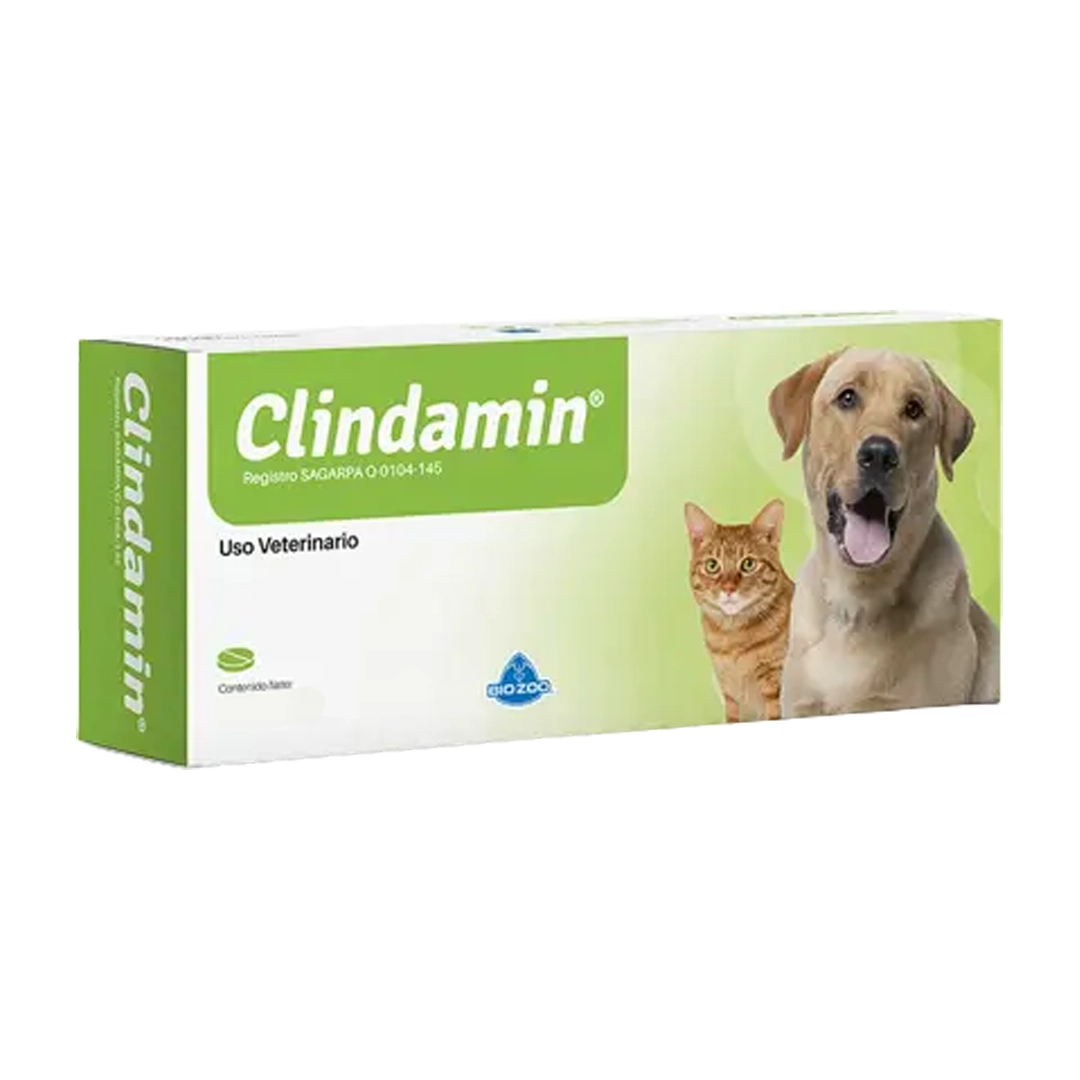 Clindamin 110 mg x 1 Tab