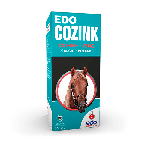 Edo Cozink
