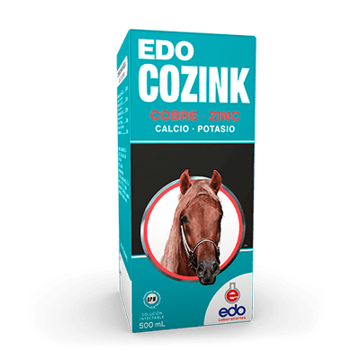 Edo Cozink