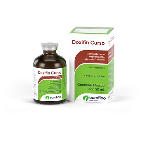 Doxifin Curso