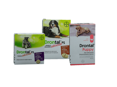 Drontal perros