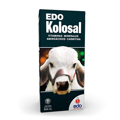 Edo Kolosal