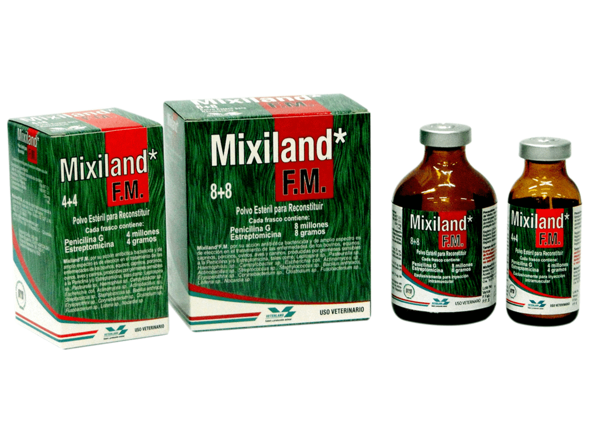 Mixiland F.M.