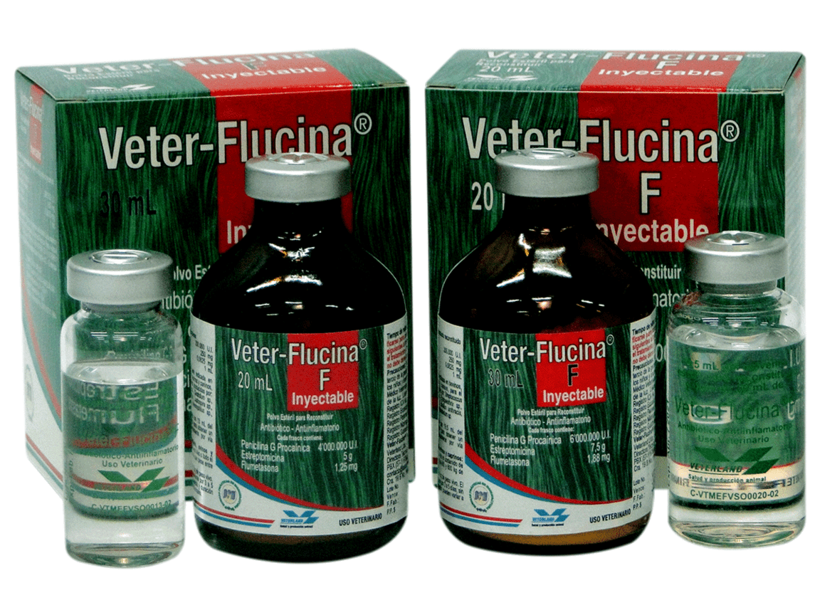 Veter-Flucina F