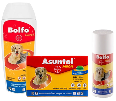Bayer Kit de Rutina