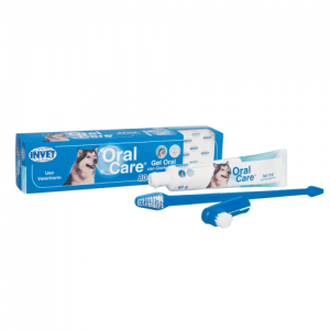 Oral care