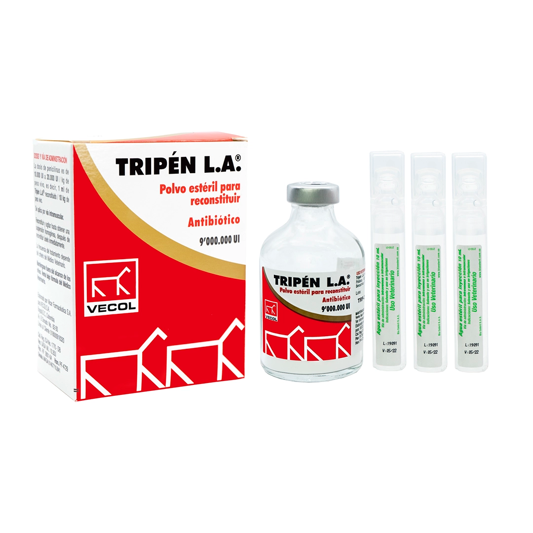 Tripén L.A.