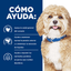 Hills Comida Para Perro Prescription Heart Care H/D Pollo