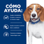 Hills Comida Para Perro Prescription Diet Reducción De Peso R/D Pollo