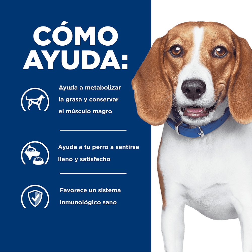 Hills Comida Para Perro Prescription Diet Reducción De Peso R/D Pollo