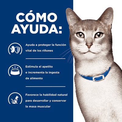 Hills Comida para Gato Prescription Diet Bienestar Renal K/D Pollo x 4 lbs