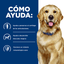 Hills Comida Para Perro Prescription Mobility J/D Pollo