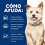 Hills Comida Para Perro Prescription Diet Cuidado Renal K/D Pollo