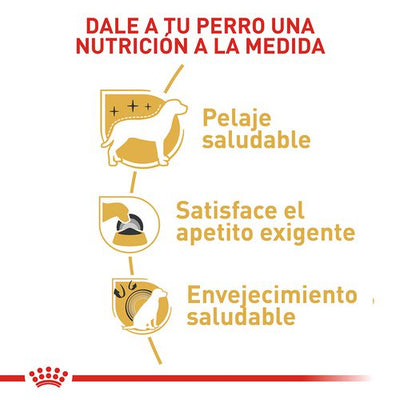 Royal Canin Yorkshire Terrier Adulto  8+ x 1.5 kg