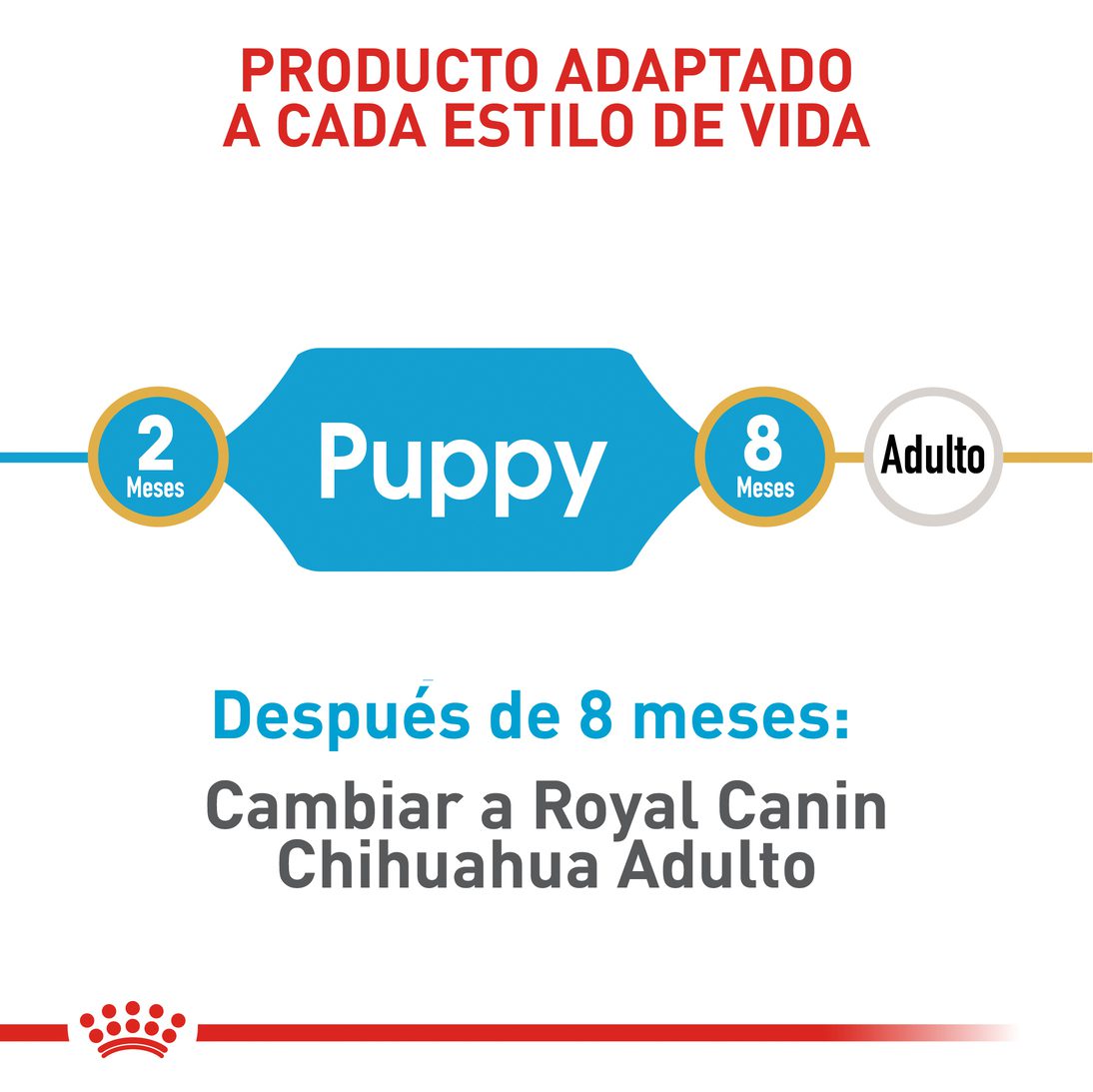 Royal Canin Chihuahua Puppy x 1.13kg
