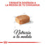Royal Canin Chihuahua Puppy x 1.13kg
