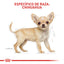 Royal Canin Chihuahua Puppy x 1.13kg