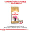 Royal Canin Persa Kitten x 2 kg