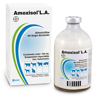 Amoxisol l.a inyectable