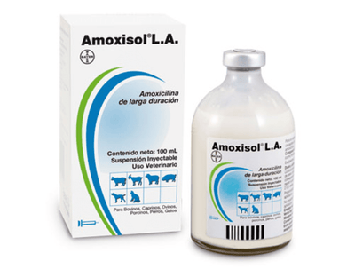 Amoxisol l.a inyectable