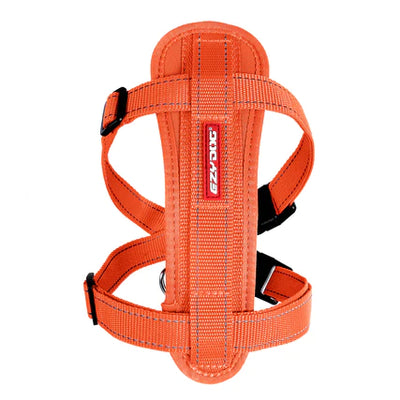 Arnes Chest Plate Naranja