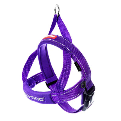 Arnes Quick Fit Morado