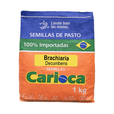 Brachiaria Decumbens x Kilo