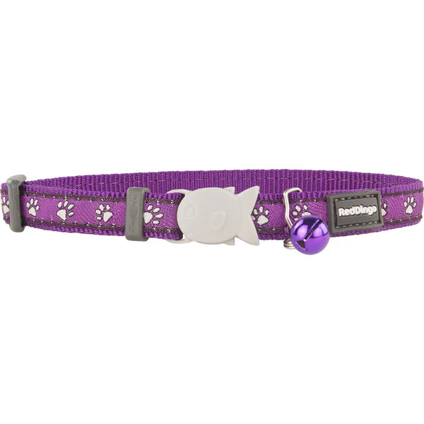 Collar Gato Desert Paws - Calidad y Durabilidad Garantizadas