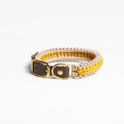 Collar Summer Collection Amarillo para Mascotas