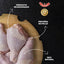Canivoros Alimento Natural para Perros Pollo y Salmón