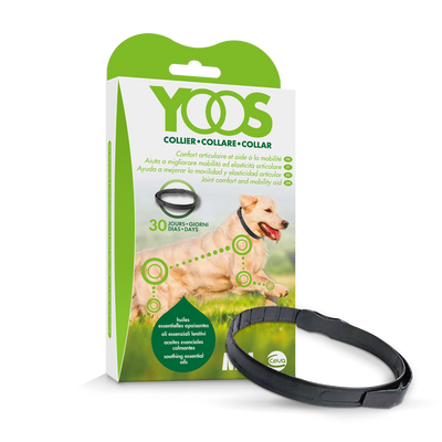 Collar Yoos Perros M/L