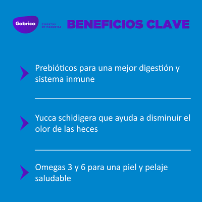 Guaumor Comida Para Perro Adulto Razas Medianas Y Grandes