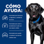 Hills Comida para Perro Alergías Alimenticias d/d Papa & Salmón x 8 Lb